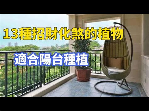 陽台可以種九重葛嗎|九重葛風水擺設指南：招財旺運，避開騰蛇勾絞煞 